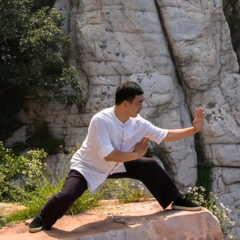 Learn Ba Gua in China