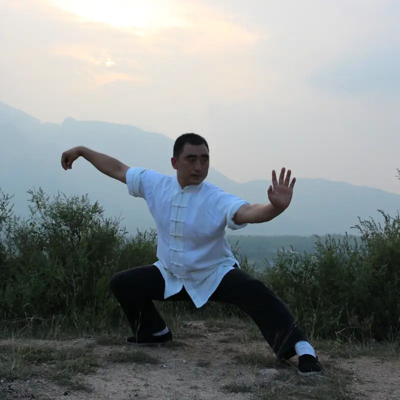 Learn Tai Chi Training in China