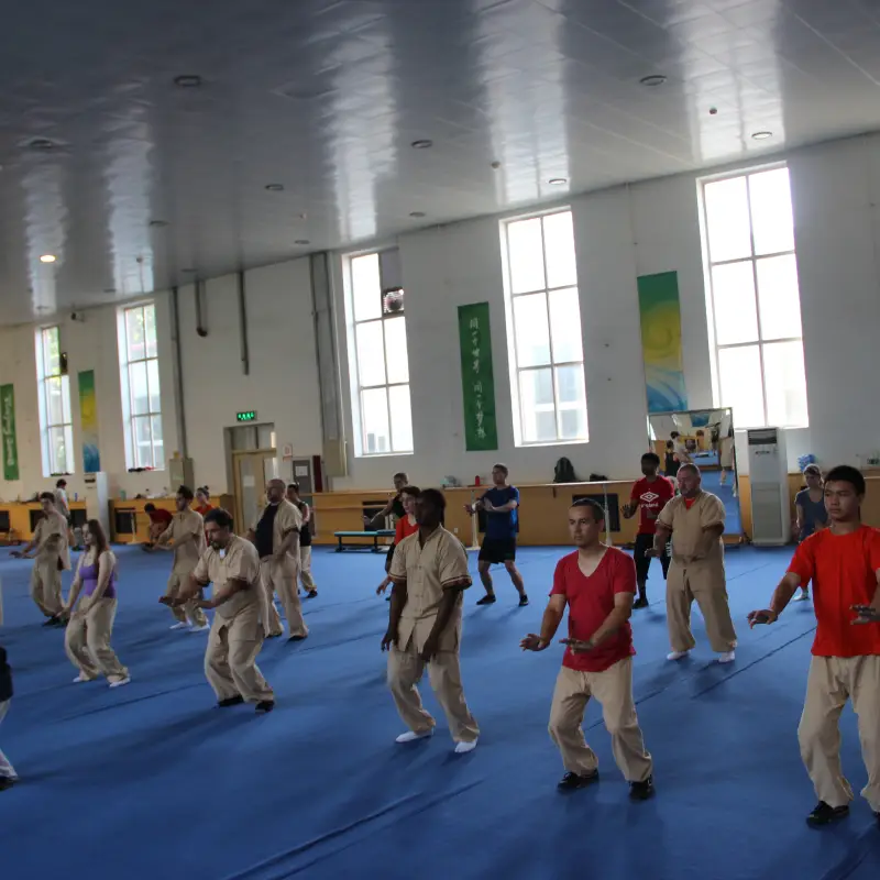 Learn Tai Chi Training in China
