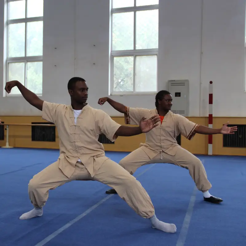 Learn Tai Chi Training in China
