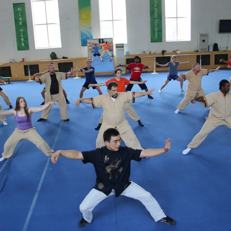 Learn Tai Chi Training in China