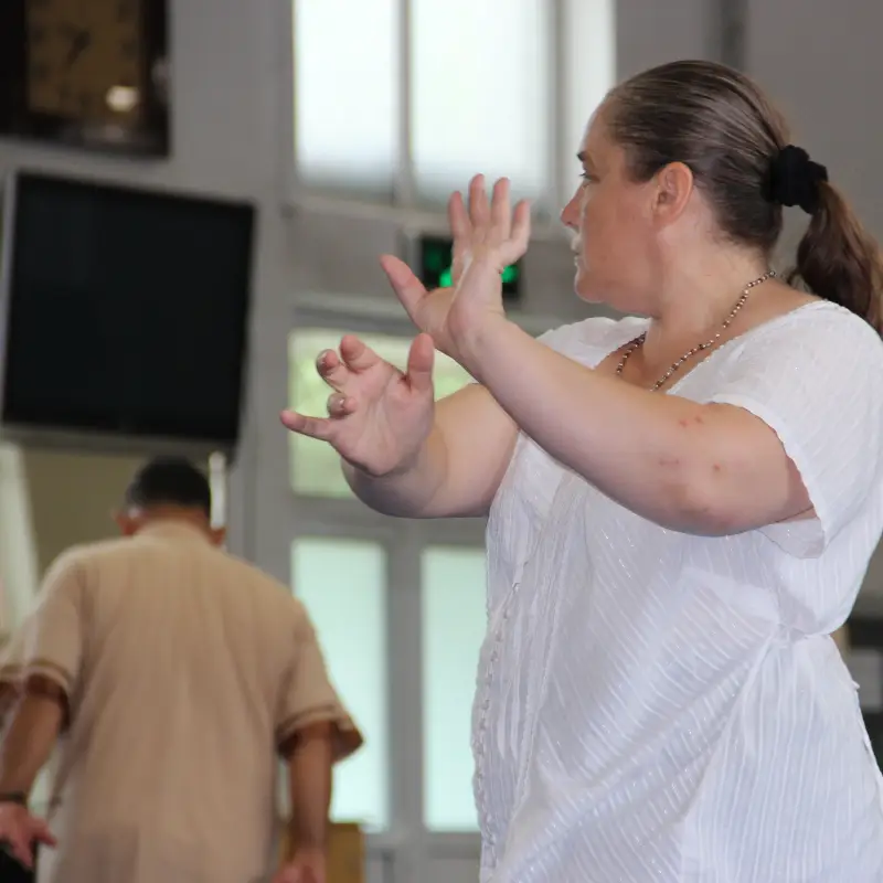 Learn Tai Chi Training in China