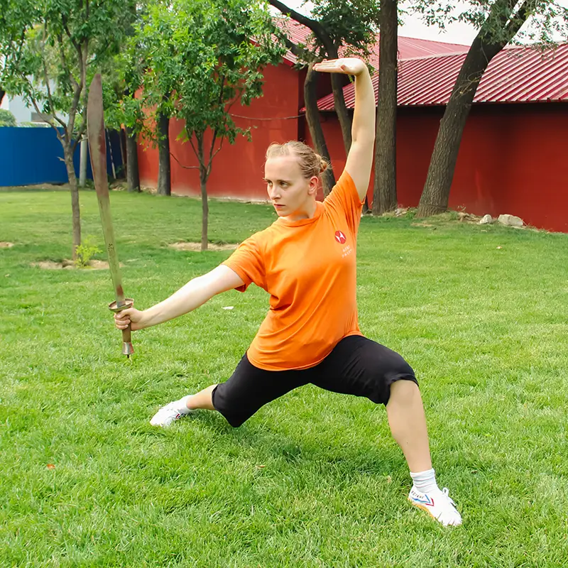 Learn Kung Fu in China Training Programme