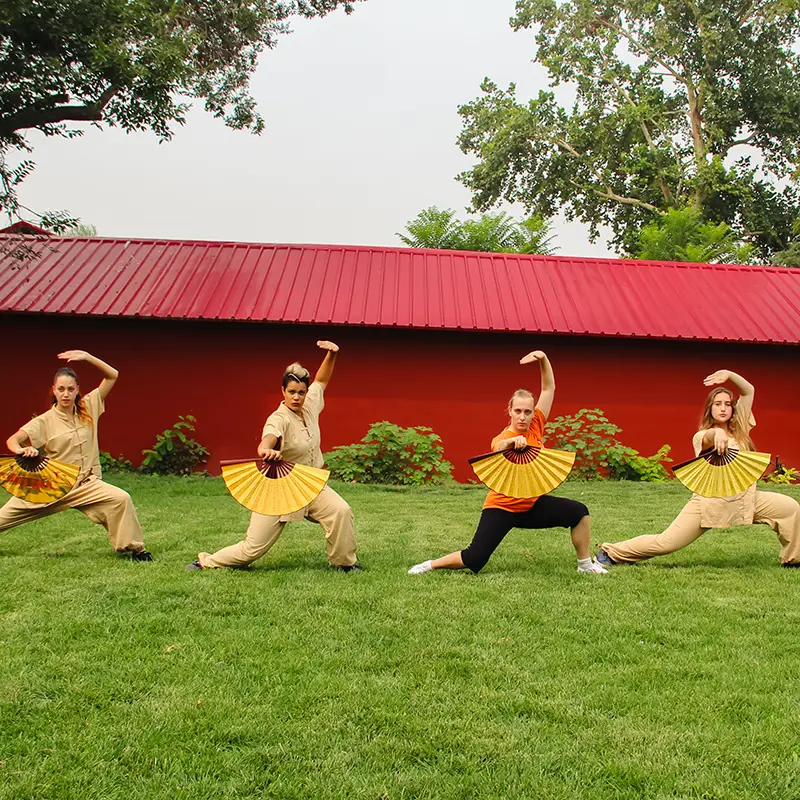 Shaolin Kung Fu Fan Training