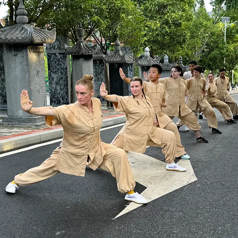 Shaolin Kung Fu Training Programme