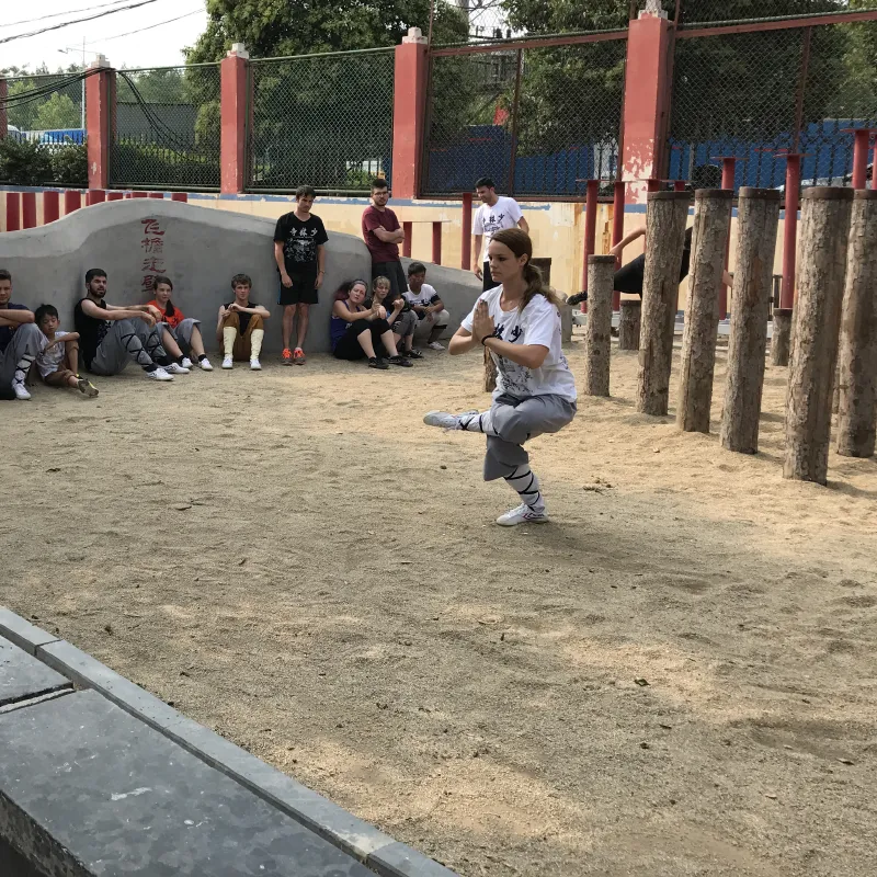 Shaolin Kung Fu Training Programme