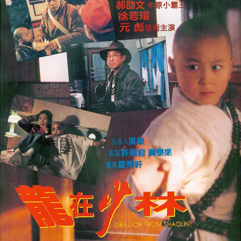 Shi Xiaolong's Kung Fu movie