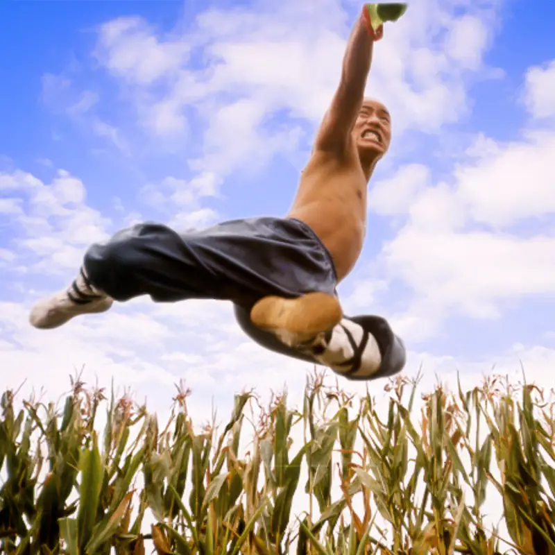 Shi Yan Ming flying kick