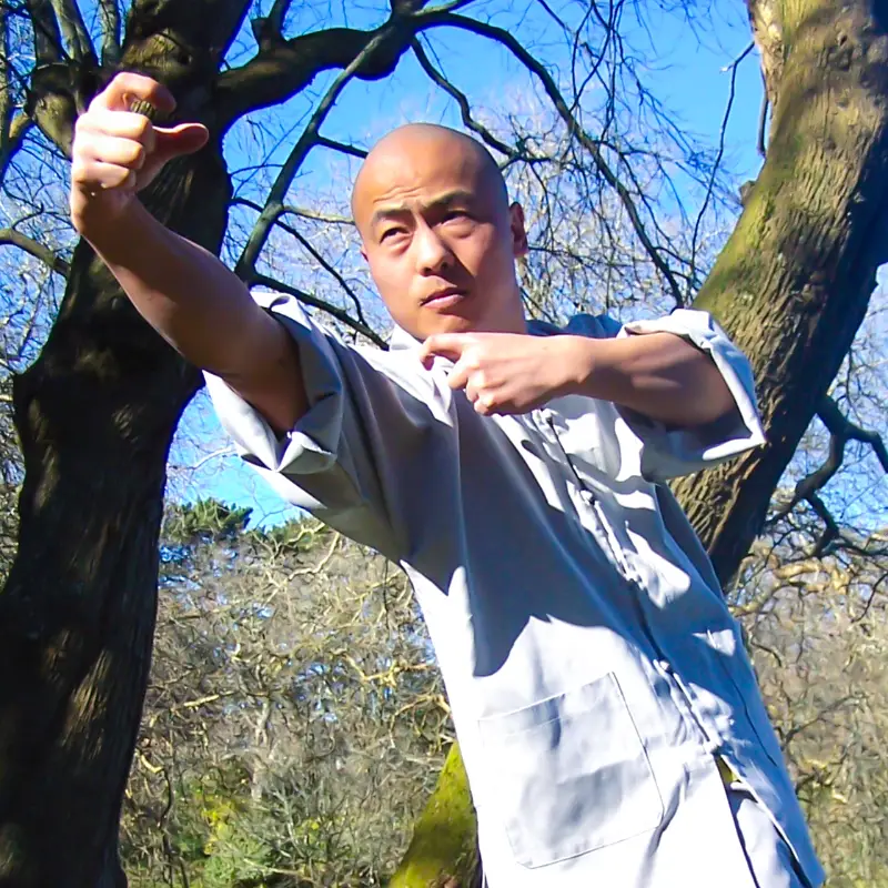 Martial Arts Master in China