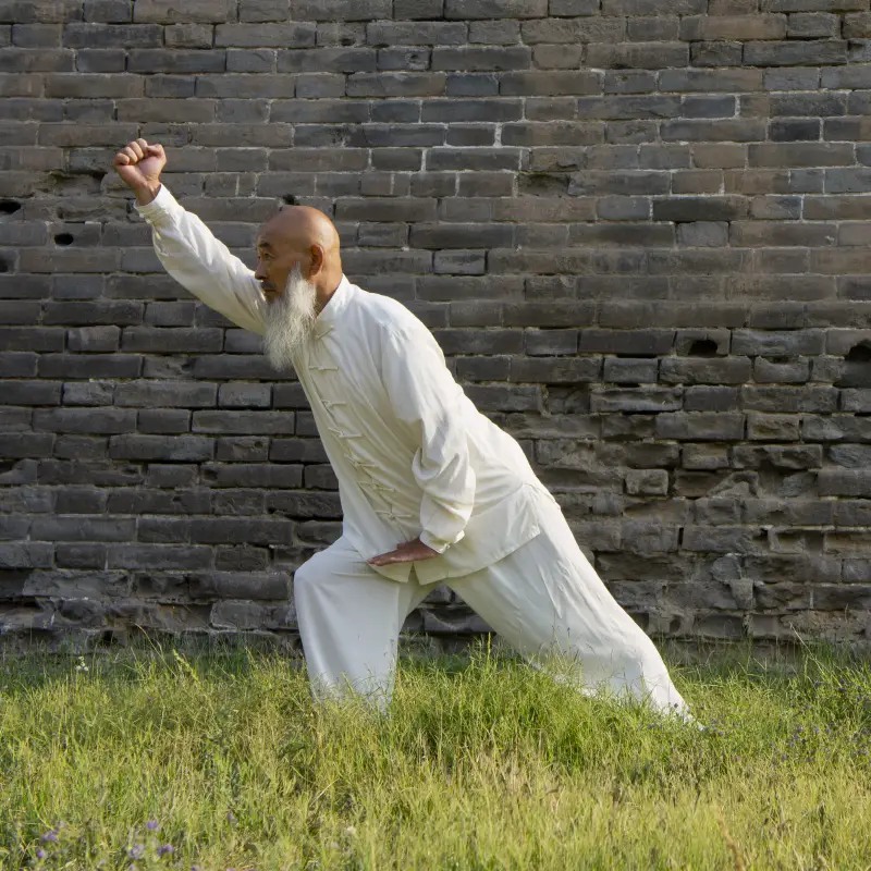 Learn Xing Yi Quan in China at ISDA