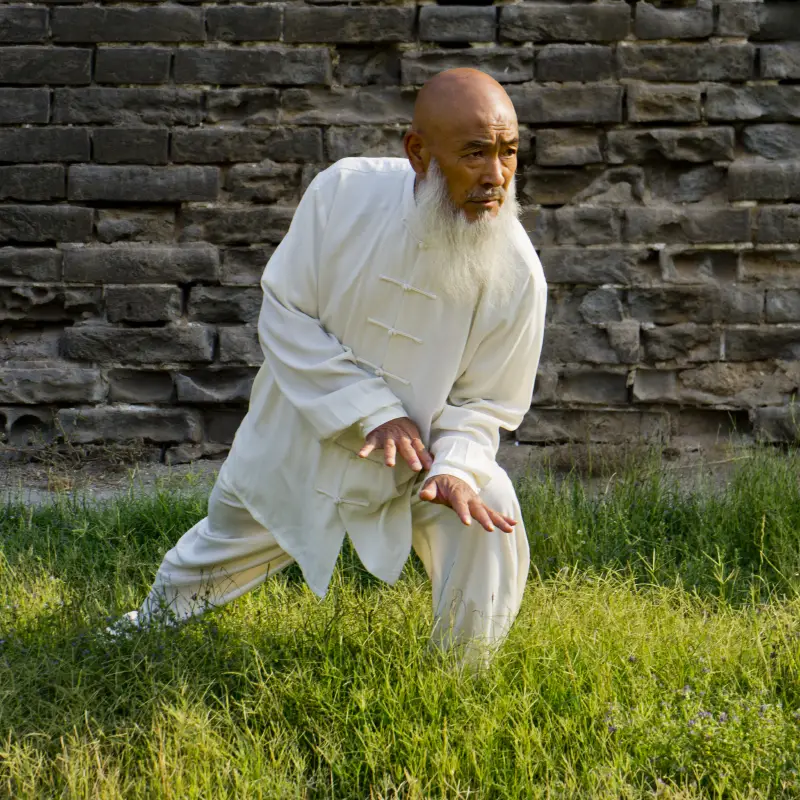 Learn Xing Yi in China