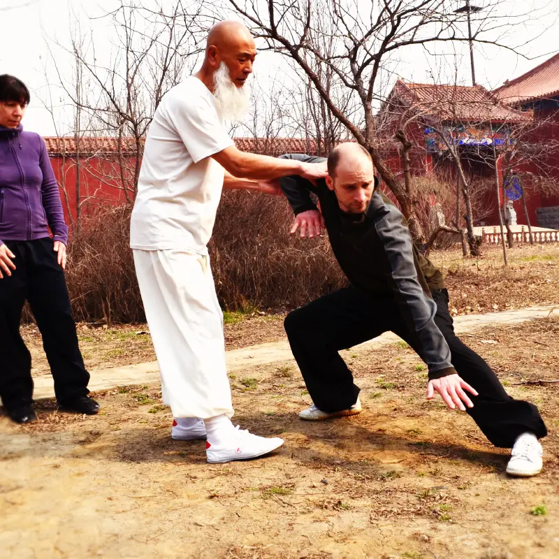 Learn Xing Yi Quan in China at ISDA