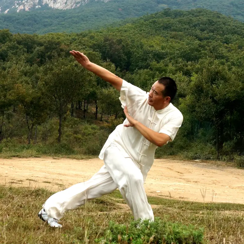 Shaolin Kung Fu Master Chen Tong Chuan