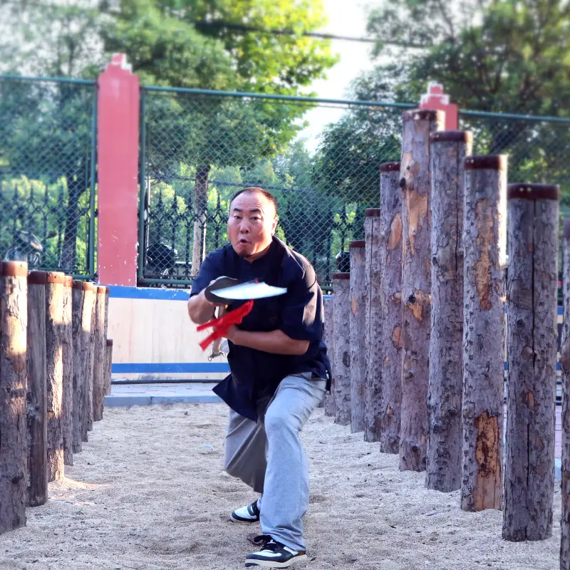 Shi Xiaolong Sword training
