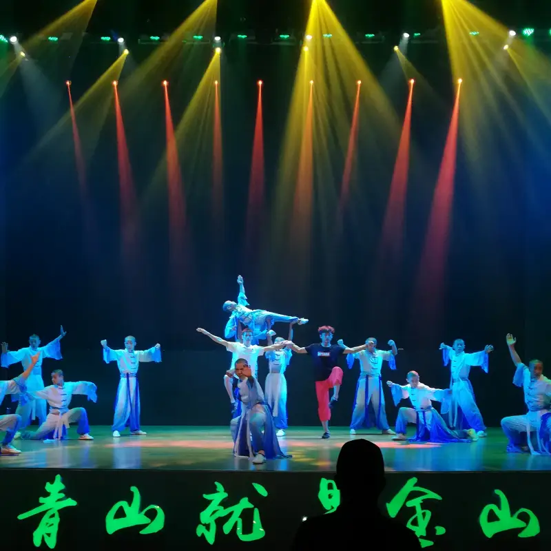 Kung Fu Wushu Performance Training in China