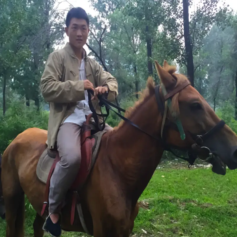 Learn film stunt in China