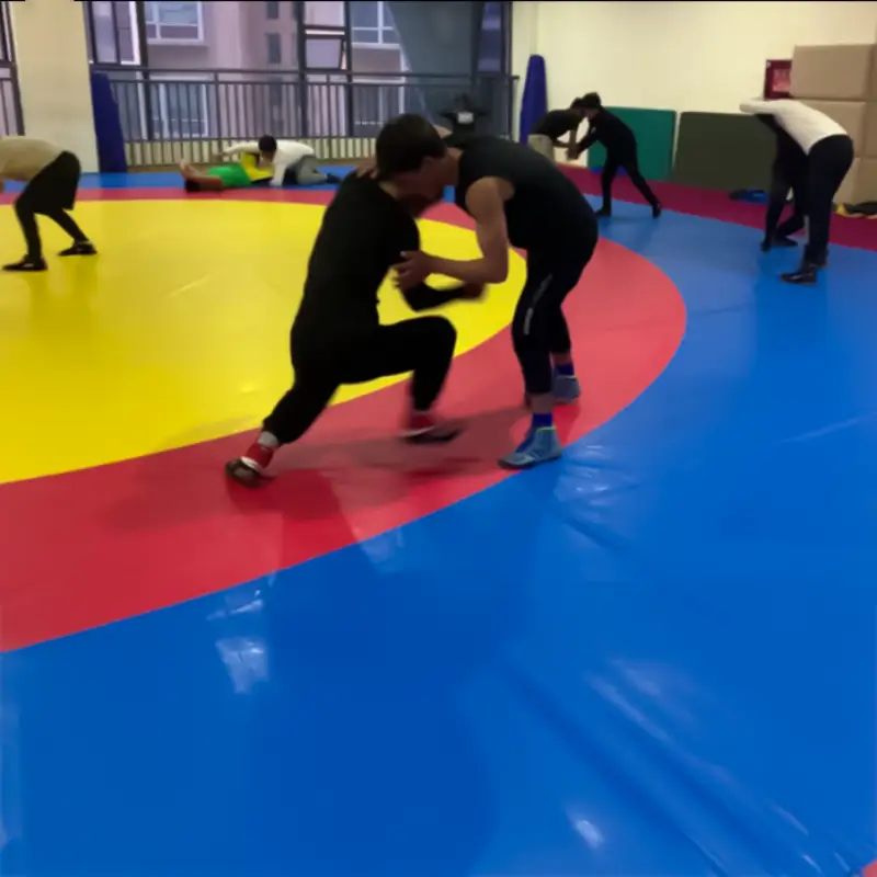 Learn Wrestling Shuai Jiao in China