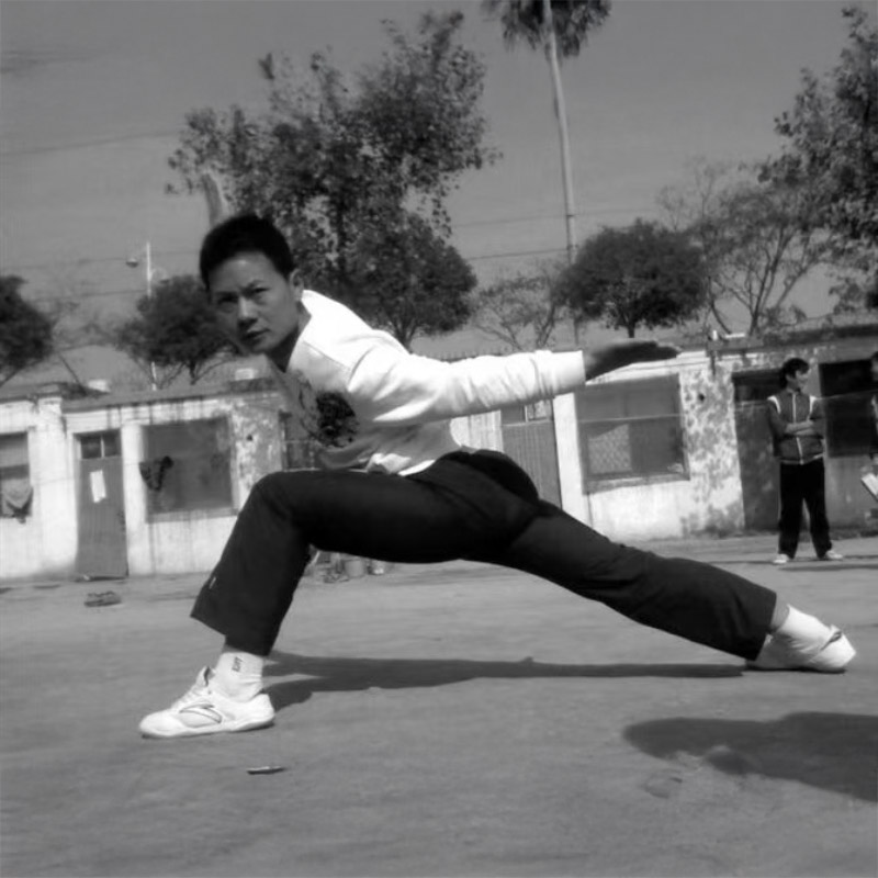 Li Meng Shaolin Kung Fu Master