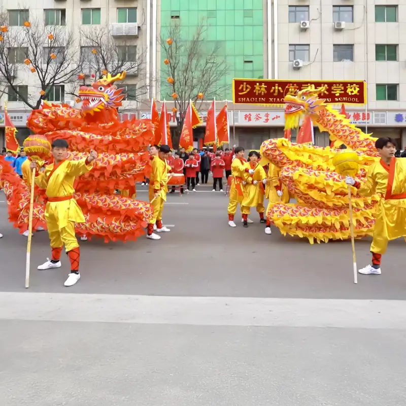Learn Dragon Dance in China