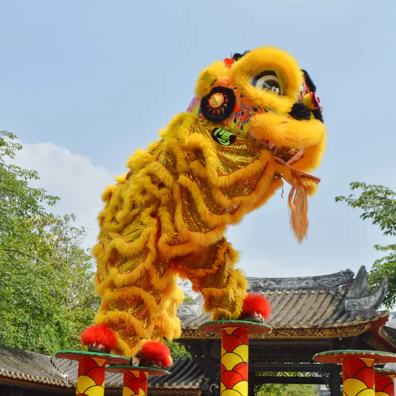 Study Lion dance Dragon Dance in China