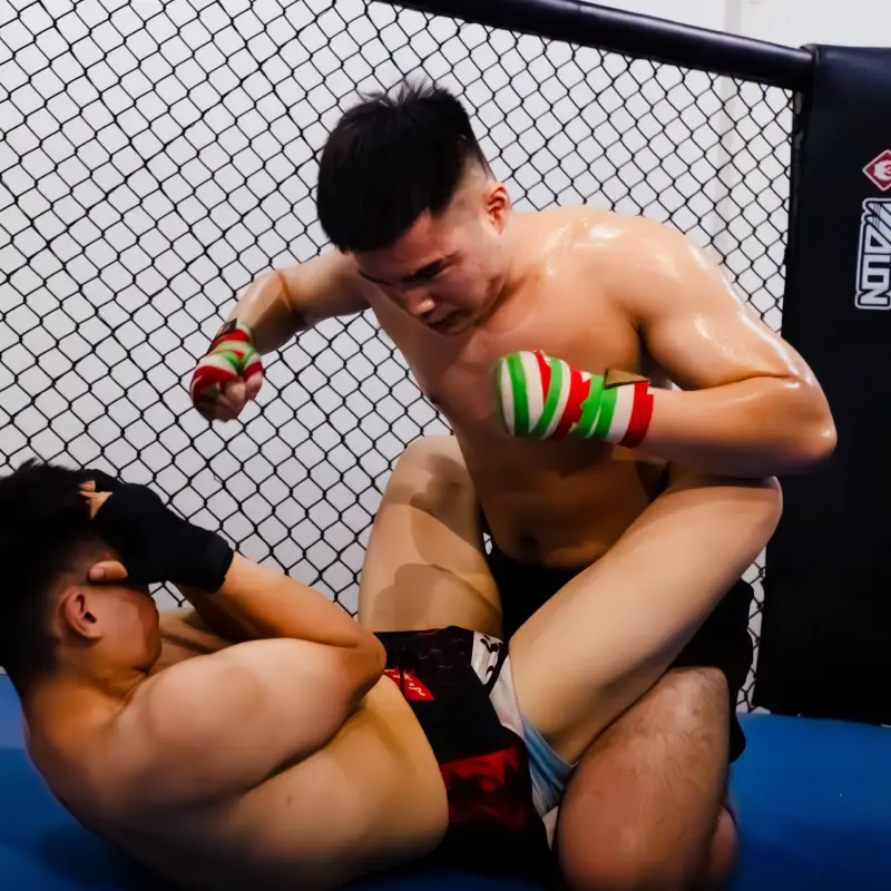 Study MMA Martial Arts in China