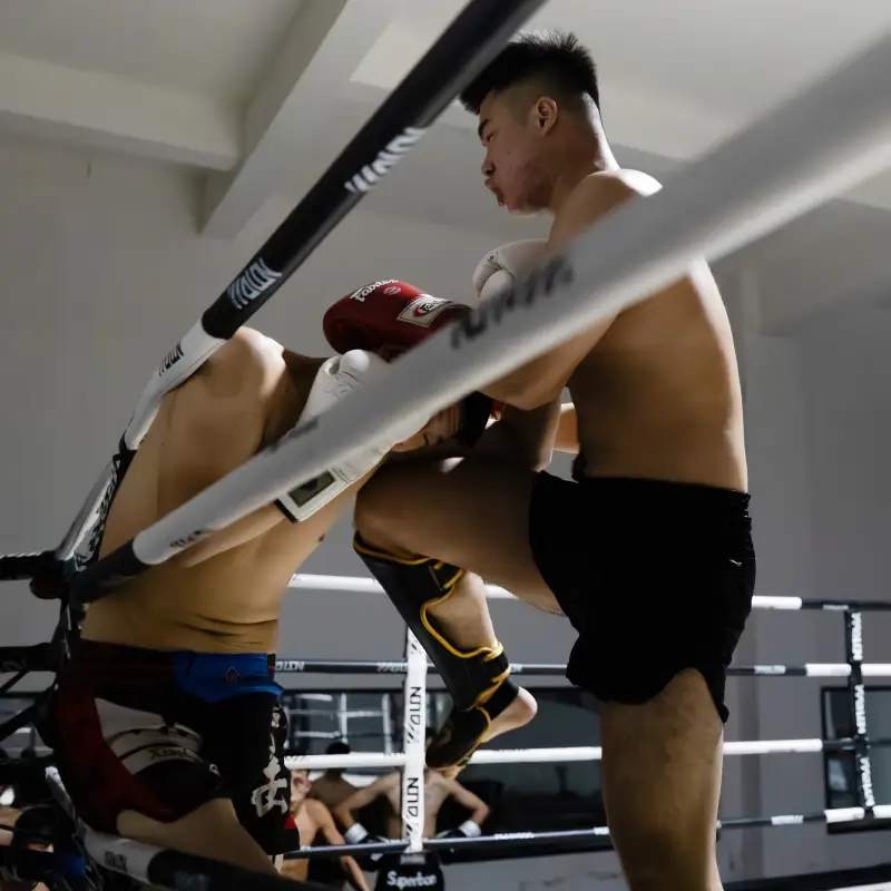 Study MMA Martial Arts in China