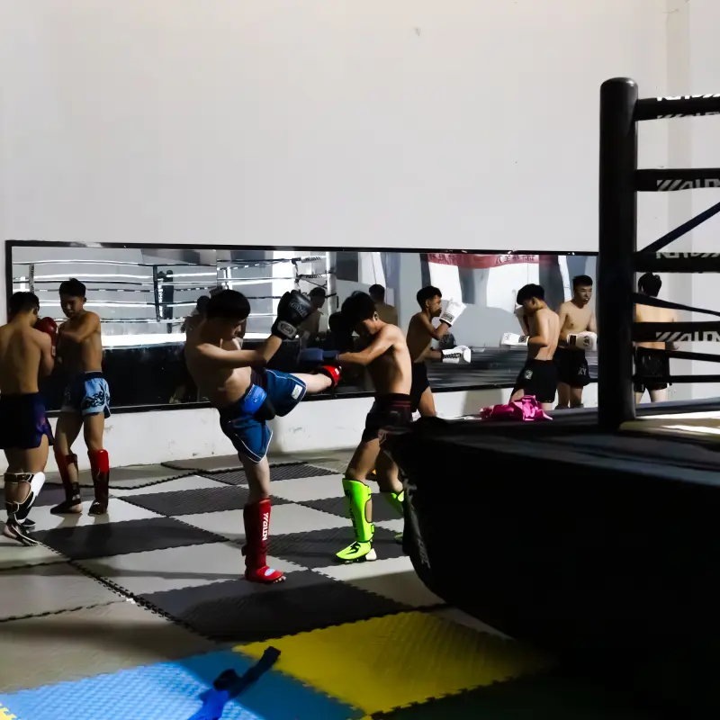 Study MMA Martial Arts in China