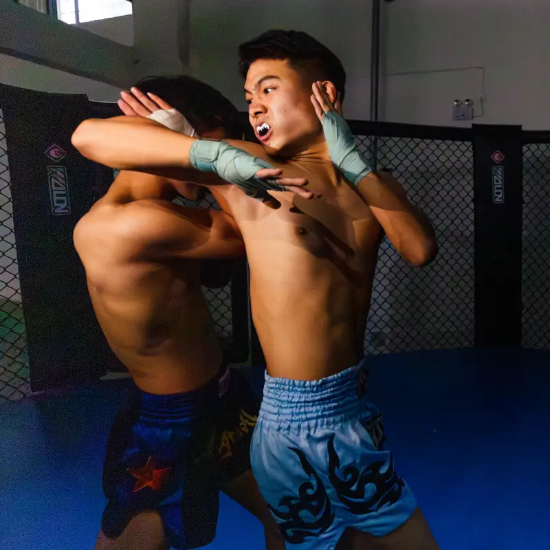 Study MMA Martial Arts in China