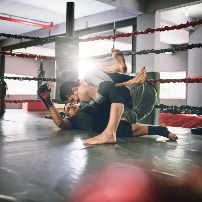 Study MMA Martial Arts in China