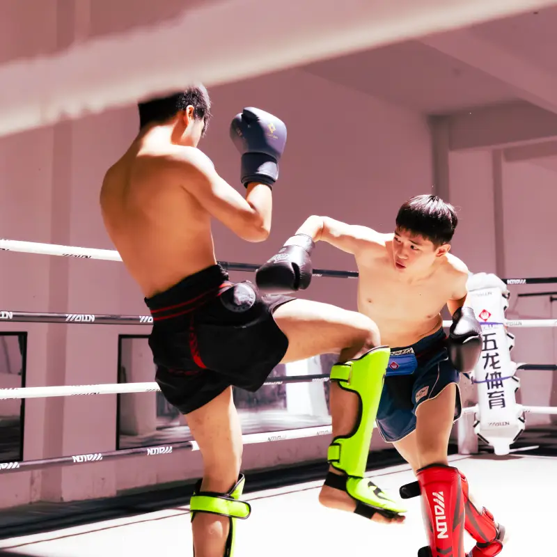 Learn Sanda Kickboxing MMA in China