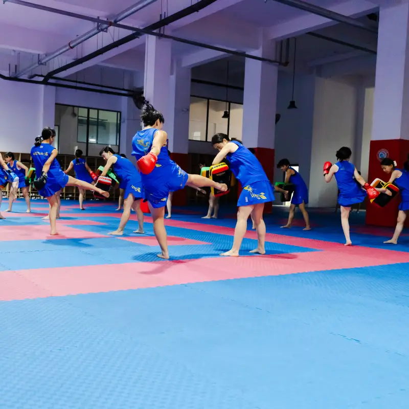 Learn Sanda Kickboxing MMA in China