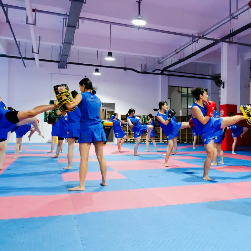 Learn Sanda Kickboxing MMA in China