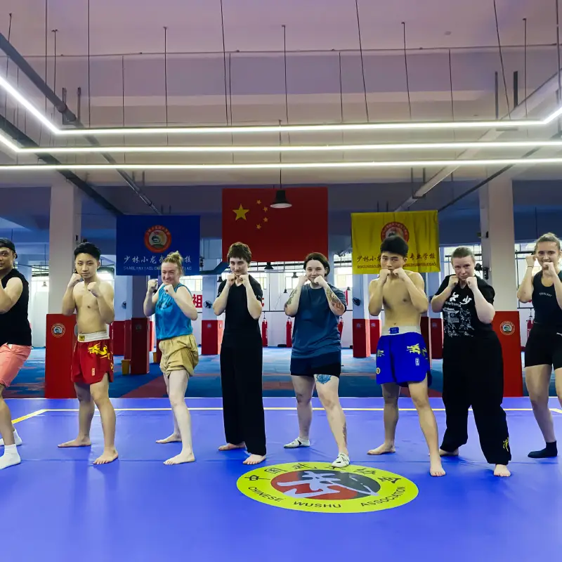 Learn Sanda Kickboxing MMA in China