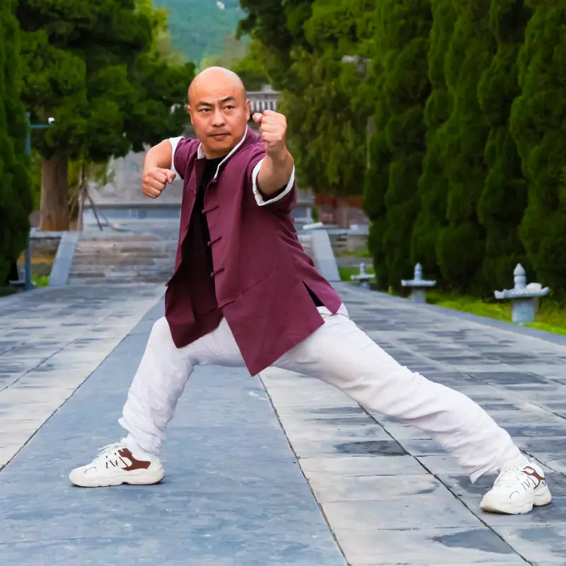 Shi Yan Ming flying kick
